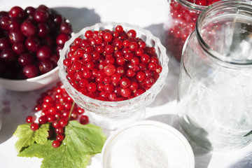 Berries on the table