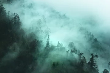 Fotobehang misty forest landscape in the mountains © monstersparrow