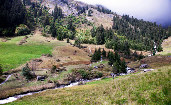 Beautiful Swiss meadows, valleys and peaks above Grindelwald, Switzerland