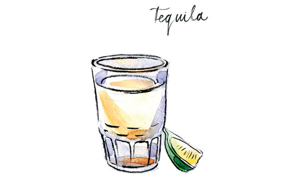 Watercolor vector tequila with lime