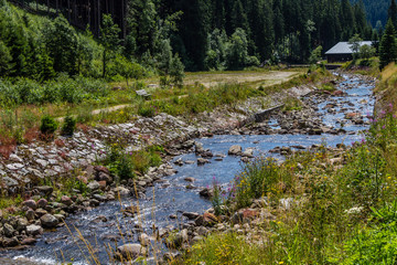 Obraz na płótnie Canvas The river Bear Creek in the national park Krkonose in the Czech Republic 