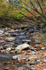 Autumn Creek