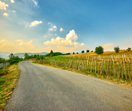 Country Road Landscape