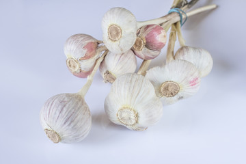 чеснок головки зубчик специя приправа 