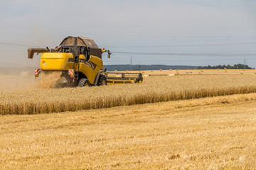 Obraz premium yellow combine harvester working in wheat field 