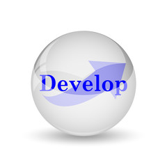 Develop icon