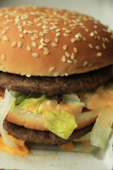 Hamburger in a carton box