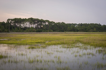 Marsh area in South Carolina 