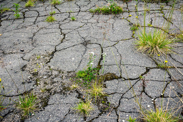 Old asphalt.The cracked asphalt covered with grass and moss