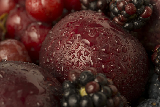 Plum with water droplets