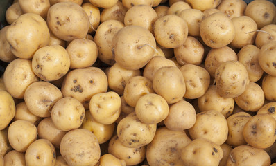 Papa criolla o amarilla en supermercado