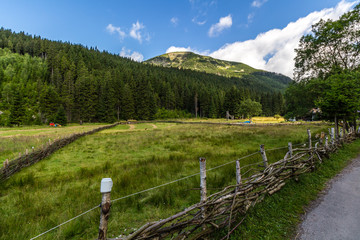 On the trail near Pec Pod Snezkou in Krkonose mountains, Czech Republic
