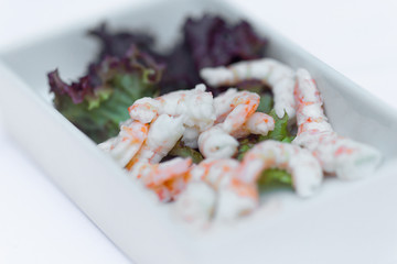 Kleine Vorspeise - Fisch