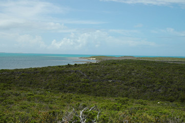 Grand Turk wilderness