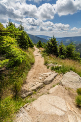 Fototapeta na wymiar Mountain path in the national park Krkonose 