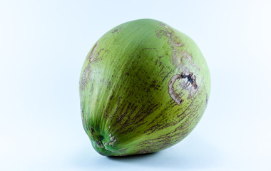 Coconut