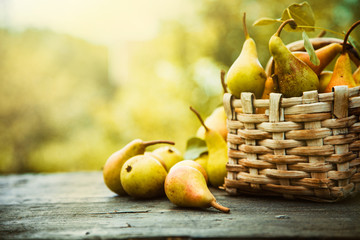 Autumn pears