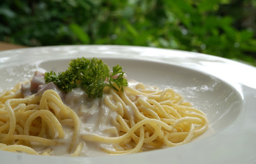 Spaghetti white sauce