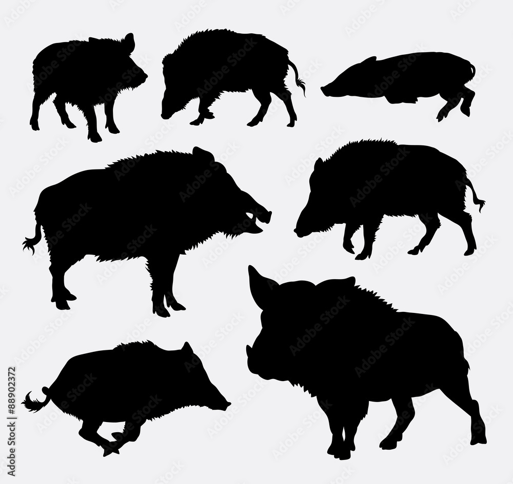 Canvas Prints Wild boar silhouette