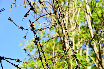 Gerollter Stacheldrahtzaun