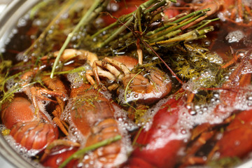 Boiled crayfish with herb