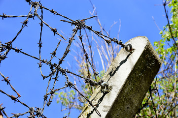 Stacheldrahtzaun mit Betonpfeiler