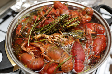 Cooking of crayfish with herb