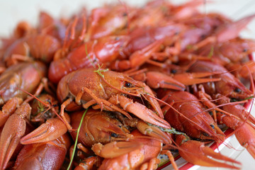 Plate with cooked crayfish