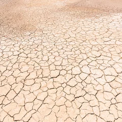 Zelfklevend Fotobehang drought land background © yotrakbutda