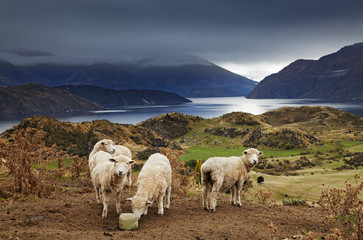 Mount Roys, Wanaka, New Zealand