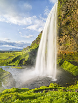 Fototapeta waterfall with green grass and sky in Iceland