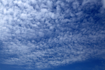 Fototapeta premium Blue sky background with tiny cloud