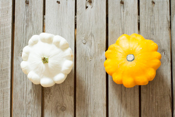 ripe pumpkin with autumn squash for Halloween