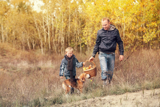 Son with father carry full basket of mushrooms in autumn forest