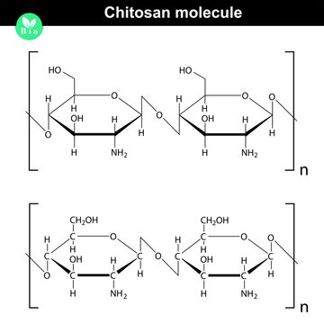 Chitosan molecule structure