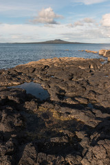 rockpools on volcanic rocks in New Zealand
