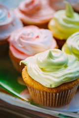 Dessert Sweet Gourmet Cupcakes With Multi-colored Frosting