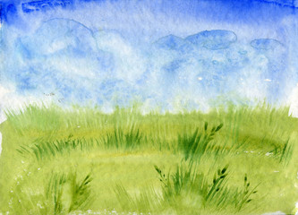 meadow grass and blue sky