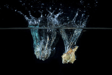 Due conchiglie marine cadono in acqua creando onde , bolle e schizzi . Luce radente blu su sfondo nero. Foto in studio