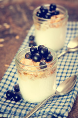 Granola with Berry Fruit  for Breakfas