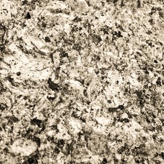 Sepia granite texture