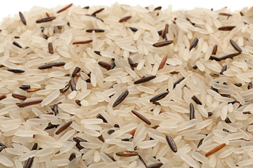 Wild and long polished rice