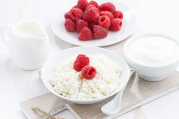 fresh homemade cottage cheese with raspberry, milk and yogurt