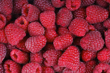 raspberry fruit background