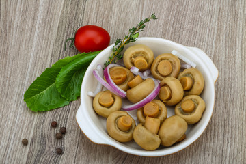 Pickled champignon