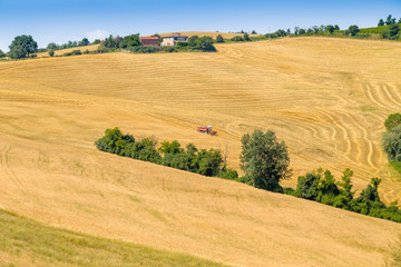 Fototapeta na wymiar harvester machine harvesting wheat
