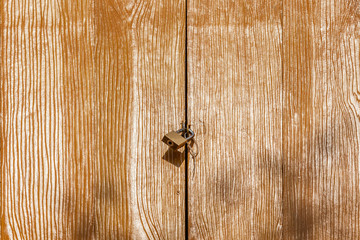 The retro padlock on wooden door in countryside, concept of secu