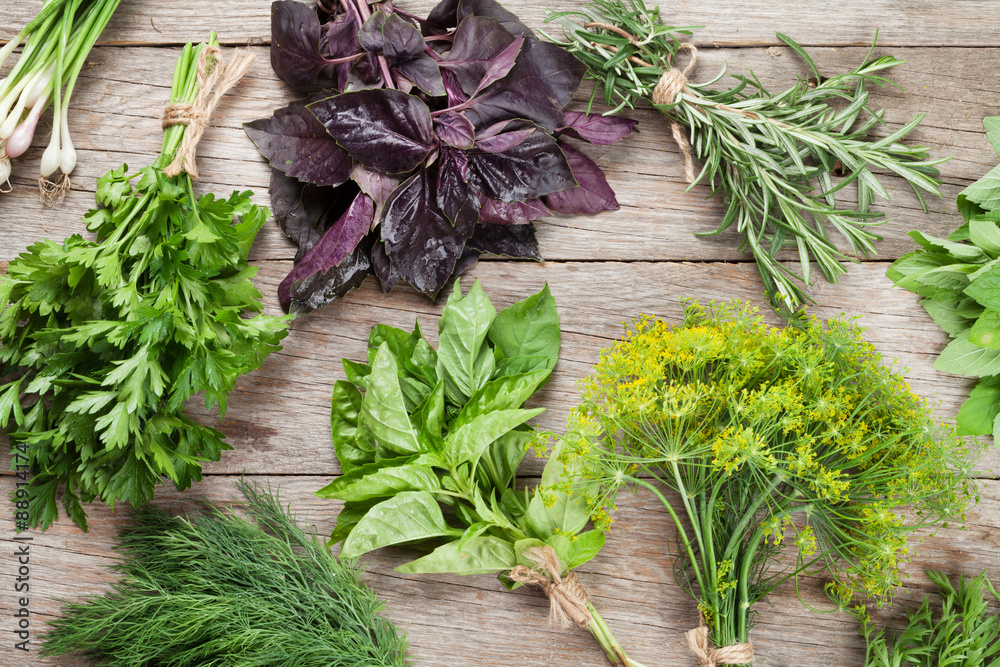 Wall mural Fresh garden herbs