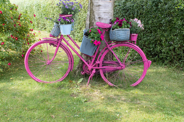 Fototapeta na wymiar pink bicycle / A pink bicycle with flowers stands as a decoration in the garden