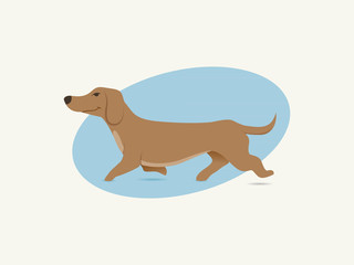 Cartoon daschund
